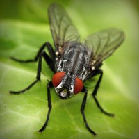 /album/sublaydeni/photolia-a01-jpg/