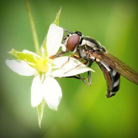 /album/sublaydeni/photolia-a02-jpg/