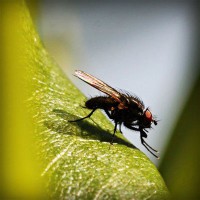 /album/sublaydeni/photolia-a04-jpg/