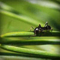 /album/sublaydeni/photolia-a05-jpg/