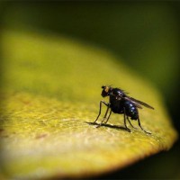 /album/sublaydeni/photolia-a07-jpg/